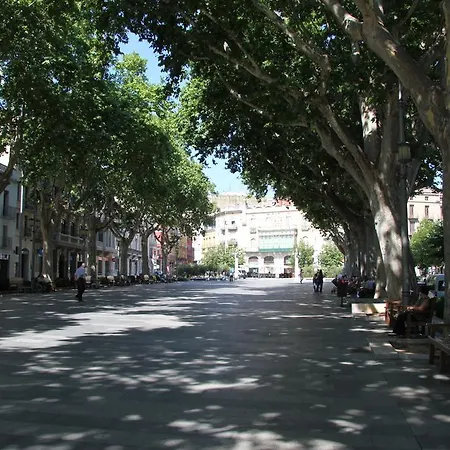 Centre Figueres *